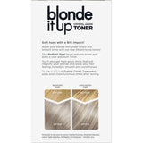 Clairol Blonde It Up Hair Colour Crystal Glow Radiant Opal 1pack