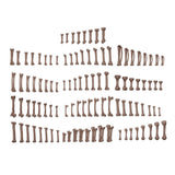 AK Interactive - Basing Bits - Human Bones - 120 Pieces