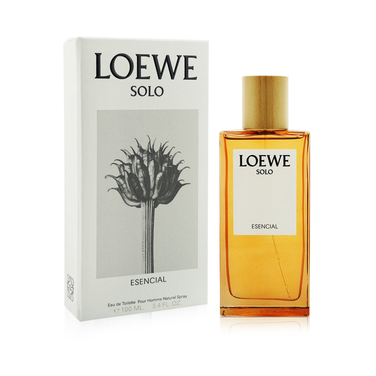 Loewe Solo Esencial Eau De Toilette Spray 100ml, a sophisticated woody aromatic fragrance for modern men, ideal for daytime wear.