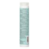 Paul Mitchell Clean Beauty Hydrate Shampoo 250ml: Nourishing sulfate-free formula for dry hair, with floral scent and 77% natural ingredients.