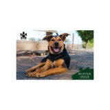 Puzzle - BMS - Muster Dogs Champion Banjo
