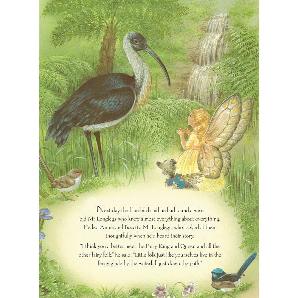Rainbow Magic Hardback