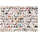 Puzzle - Eurographics - The World Of Cats 2000pc