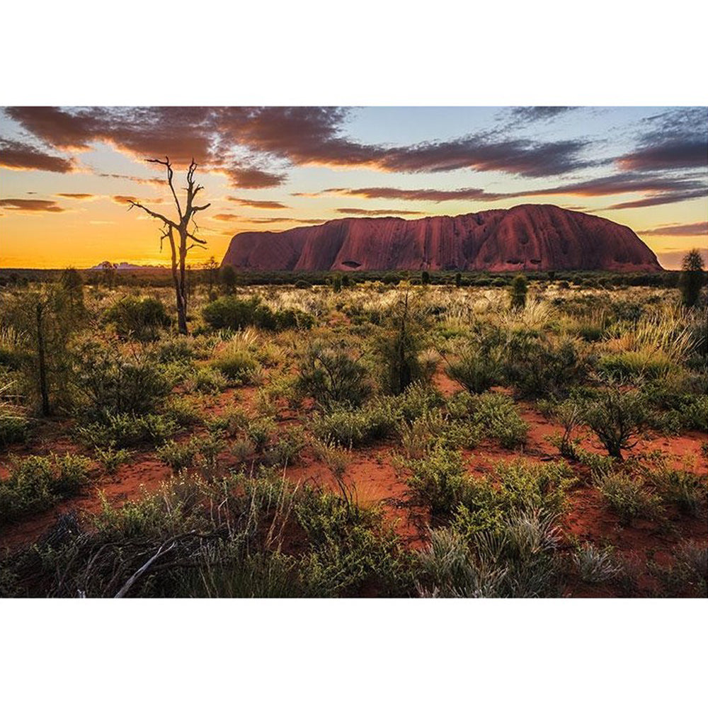 Puzzle - Uluru Sunset 1000Pcs