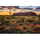 Puzzle - Uluru Sunset 1000Pcs