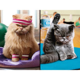 Puzzle - Ceaco - Cranky Kitties Duo 300Pcxl