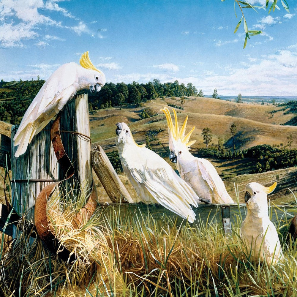 Puzzle - Garry Fleming Country Senate