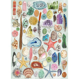 Puzzle - Gibsons - Art File Natural Curiosities