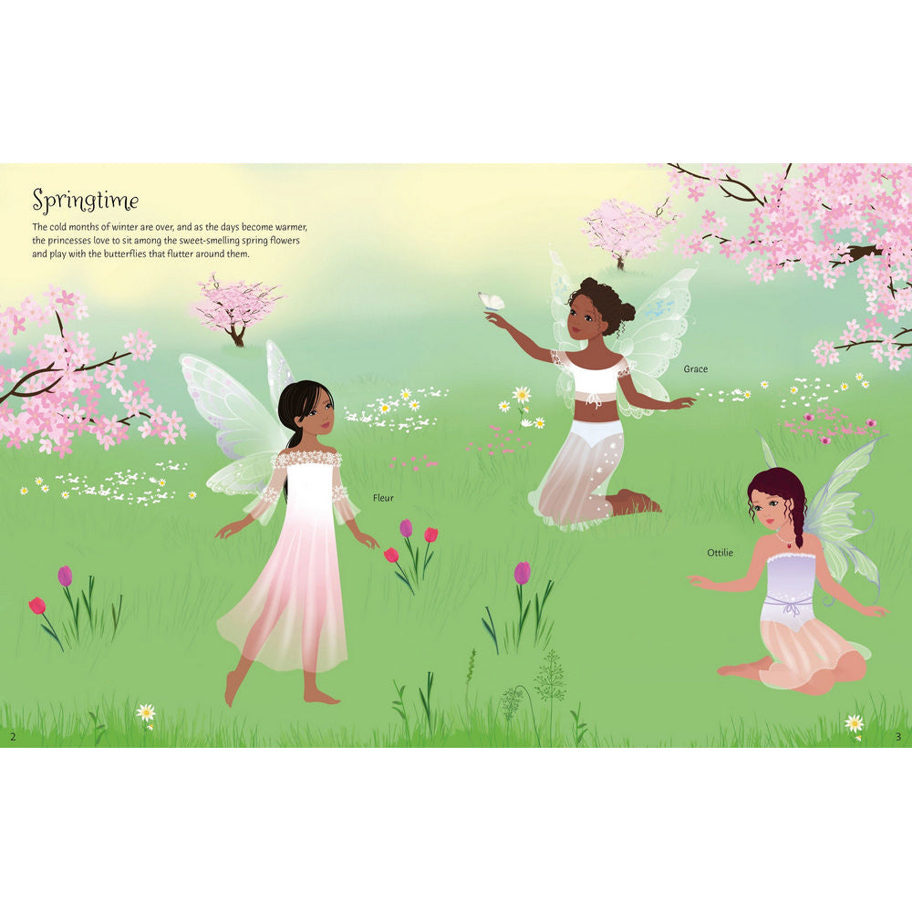 Fairy Princess Sticker Book