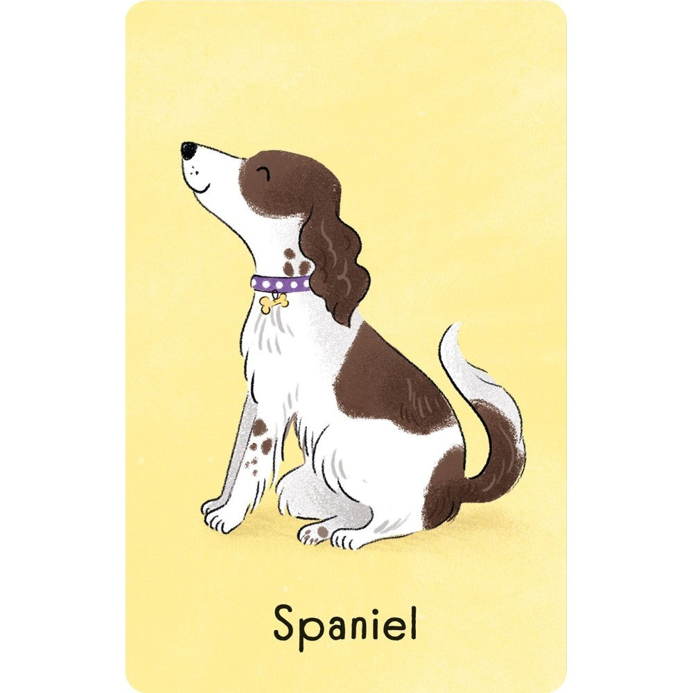Snap; Dog