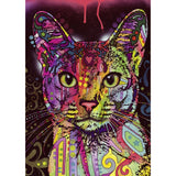 Puzzle - Heye - Jolly Pets Abyssinian 2000Pc