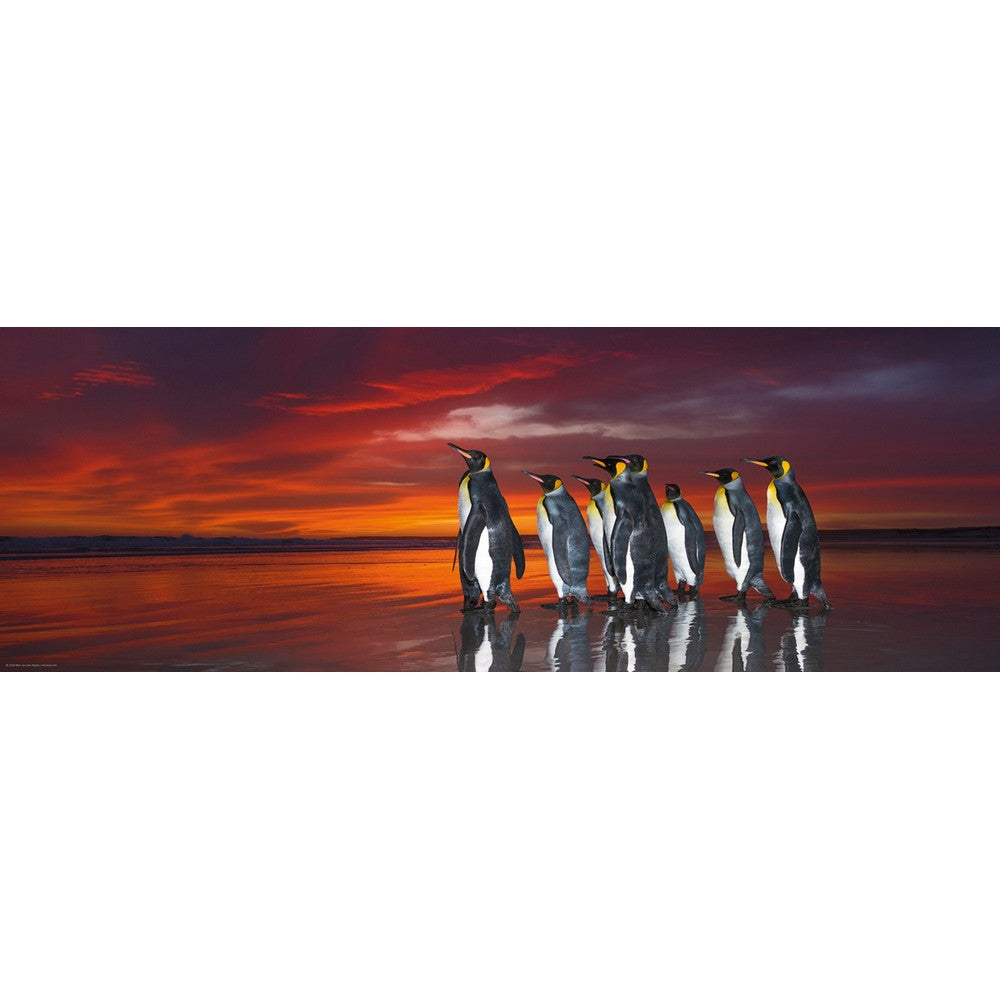 Puzzle - Heye - Panorama; King Penguins 1000Pc