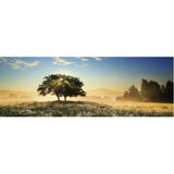 Puzzle - Heye - Panorama; Play Of Light 1000Pc