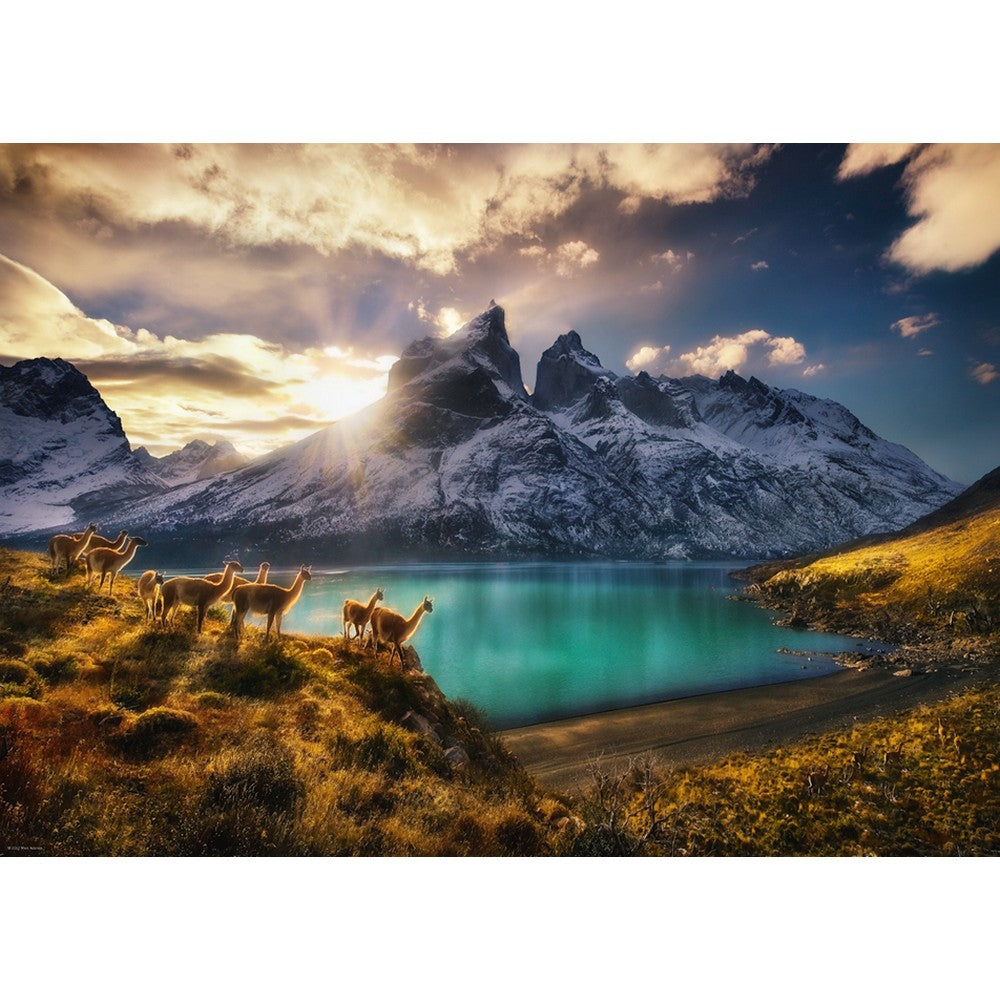 Heye - Von Humboldt; Guanacos 1000 Piece - Jigsaw Puzzle