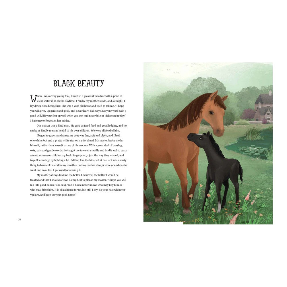 A Treasury Of Classic Stories