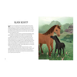 A Treasury Of Classic Stories