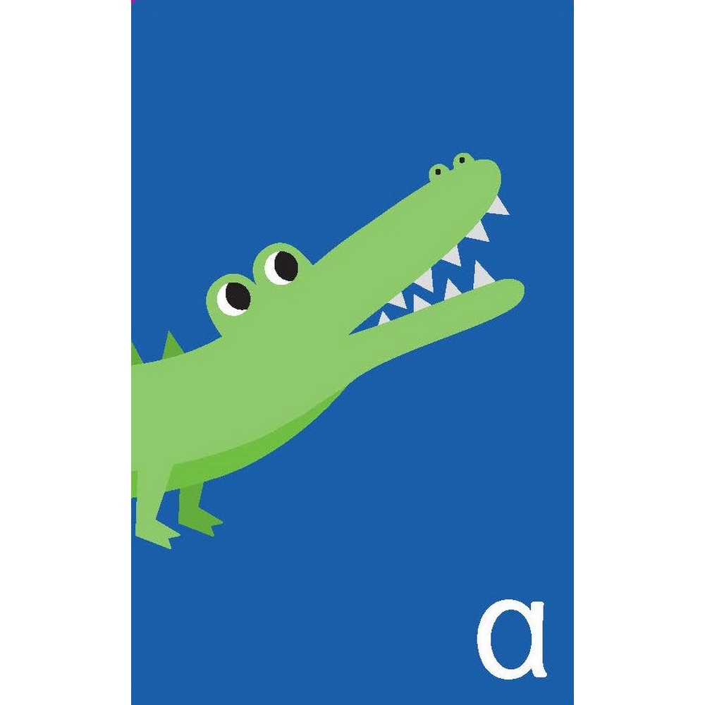 Abc Flashcards Little Genius