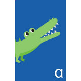 Abc Flashcards Little Genius