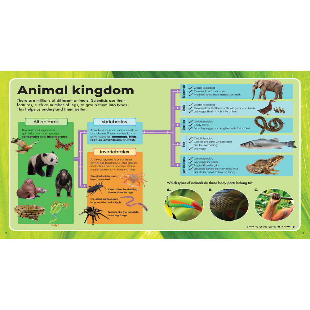 Explore & Learn Animals