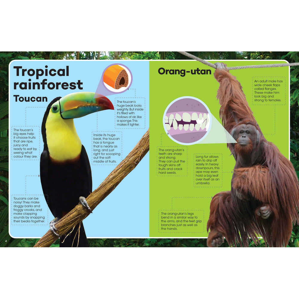 Explore & Learn Animals