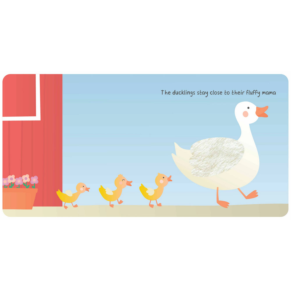 Farm Animals Touch & Feel