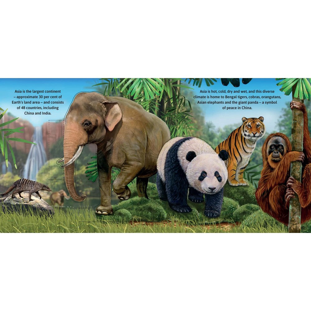 Wild Animal Sounds Pop Up Book