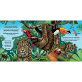 Wild Animal Sounds Pop Up Book