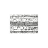Puzzle - Piatnik - Musical Notes 1000Pc