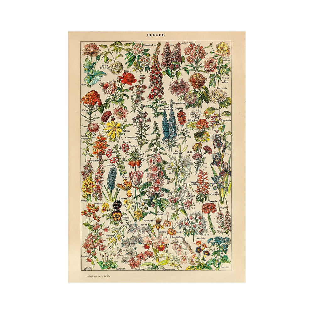 Puzzle - Piatnik - Millot; Flowers 1000Pc