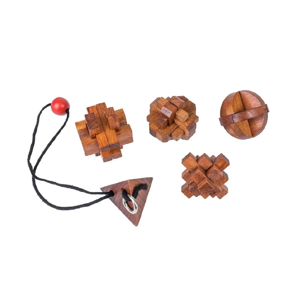 Puzzle - Professor Puzzle - Great Minds Set Of 5 (Women)