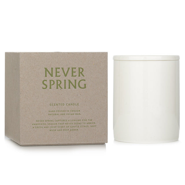 Bjork & Berries vegan scented candle in a decorative container, featuring fresh blueberry and vetiver notes, burns for up to 55 hours.
