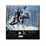 Puzzle - Sunsout - Chance Encounter 1000Pc