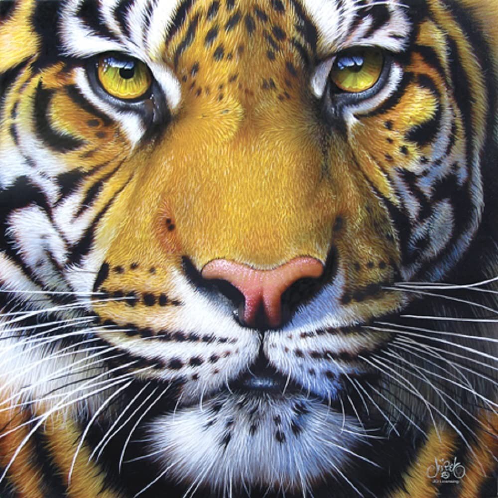 Puzzle - Sunsout - Golden Tiger Face 1000Pc