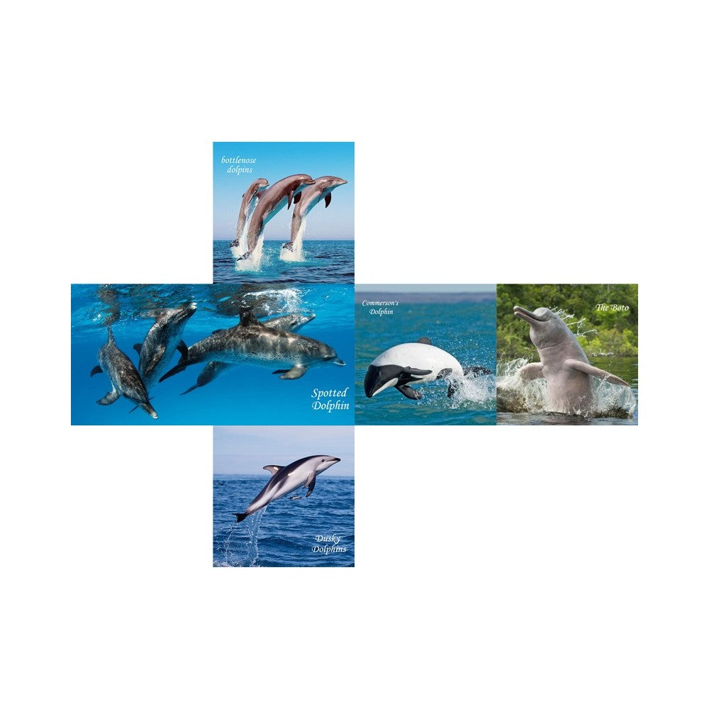 V-Cube Dolphins 2X2 Pillow