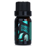 Natural Beauty - Essential Oil - Eucalyptus  - 10ml/0.34oz