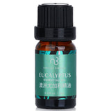 Natural Beauty - Essential Oil - Eucalyptus  - 10ml/0.34oz