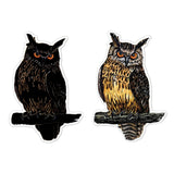 Scratch Bird Stickers Avenir