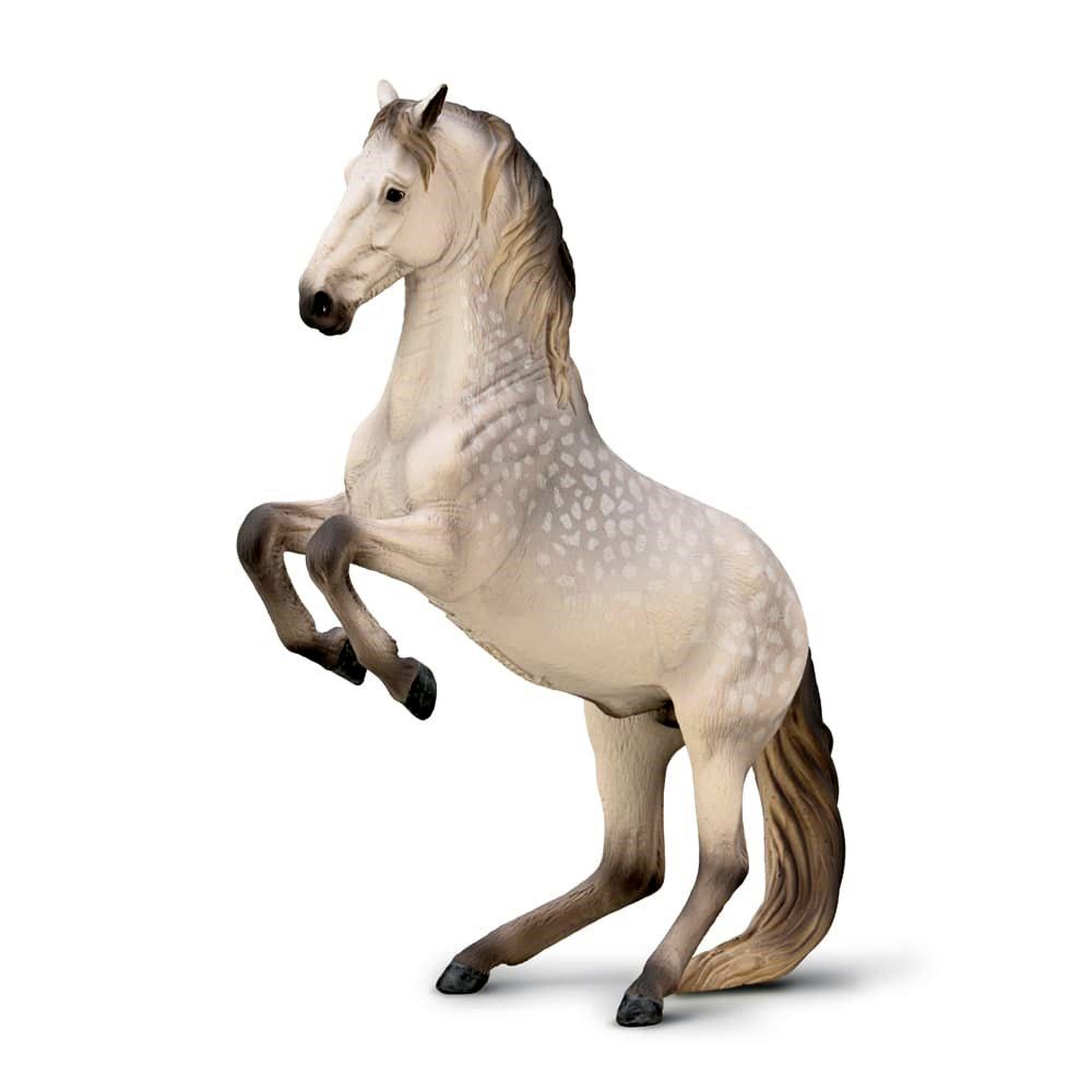 Lipizzanner Stallion Dapple Grey Figurine CollectA XL