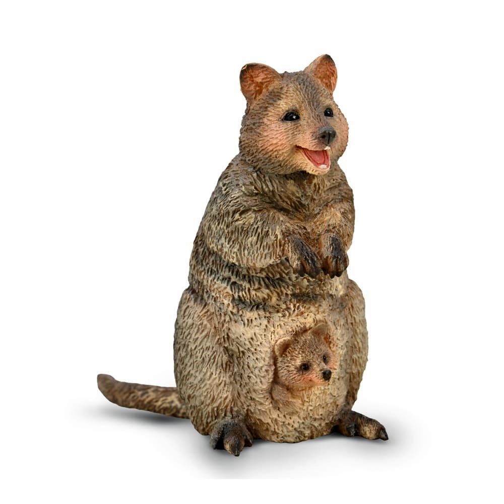 CollectA - Quokka w/ Joey Figurine (M) - Toy Vehicle