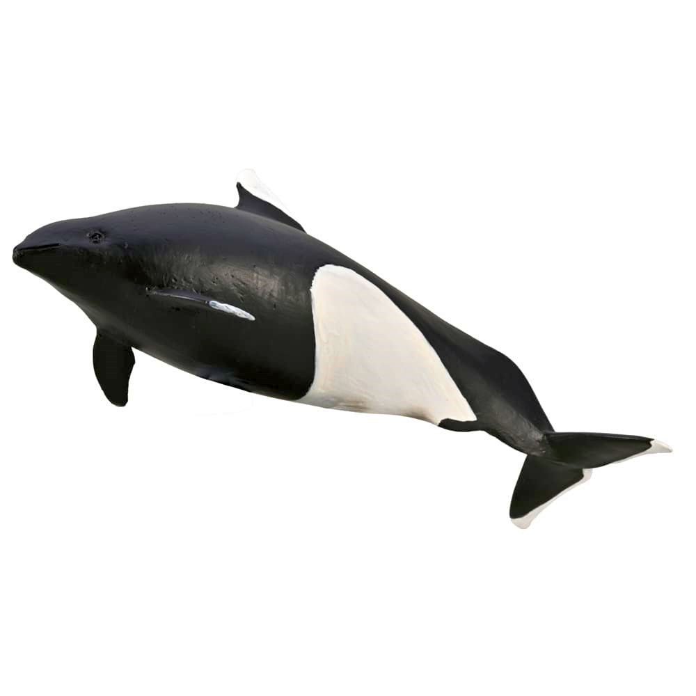 Dall's Porpoise Figurine CollectA M