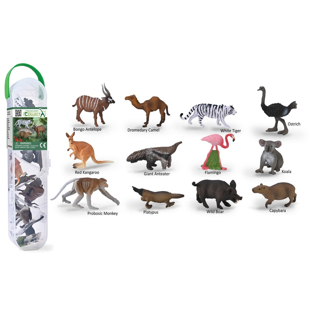 Box of Mini Wild Animals 3 CollectA
