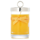 Rigaud # Tournesol scented candle in elegant glass, mango & passion fruit fragrance, 90-hour burn time, hand-made in France.