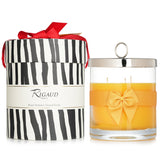 Luxurious Rigaud scented candle in glass, infused with mango and passion fruit, inspired by Van Gogh's Sunflowers.
