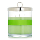 Luxury Rigaud scented candle # Jasmin De Printemps, floral fragrance blend in a glass container with a bow tie, 150-hour burn time.