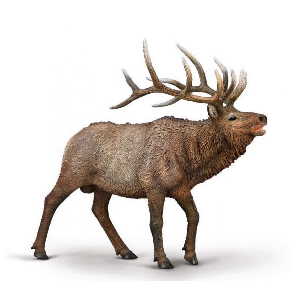 Wapiti Figurine CollectA
