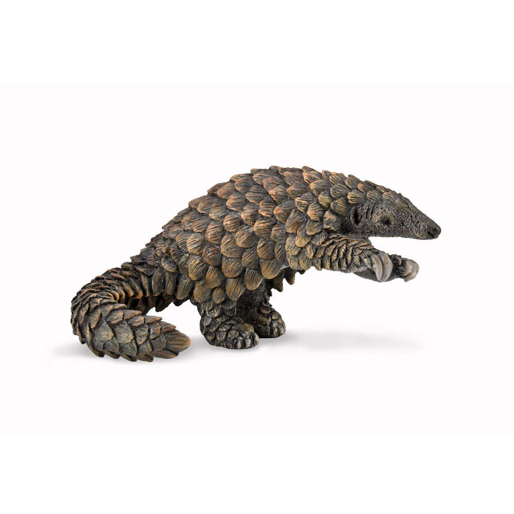 Pangolin Figurine CollectA L