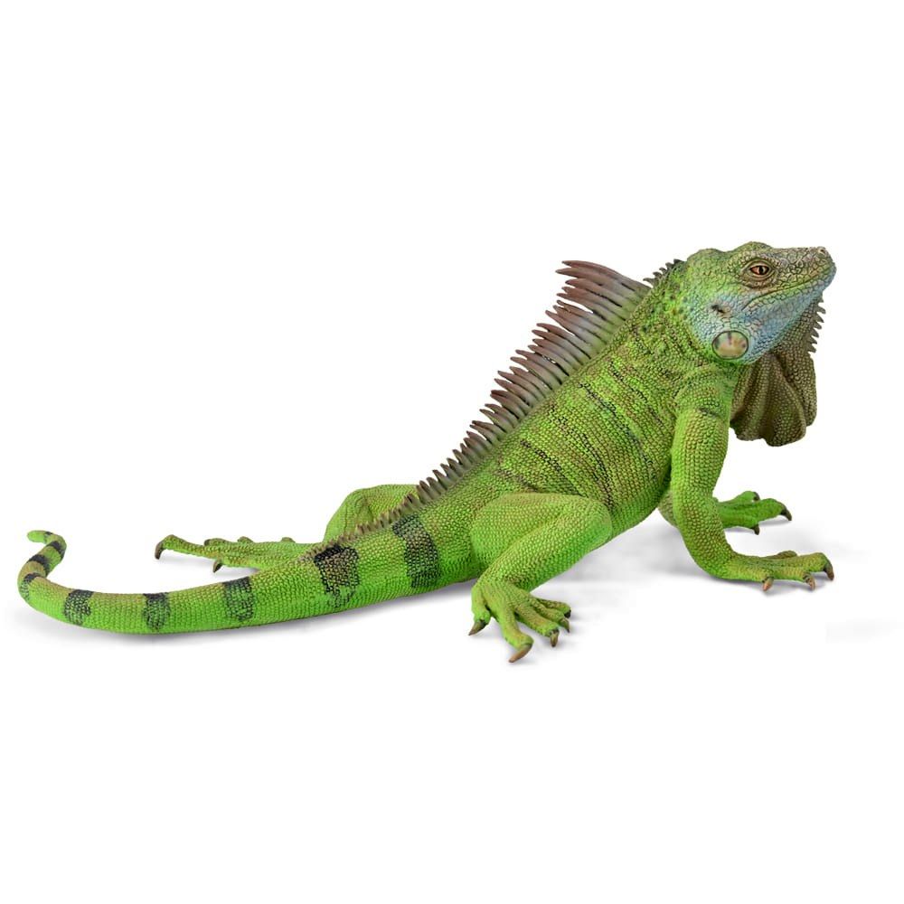 Iguana Figurine CollectA XL
