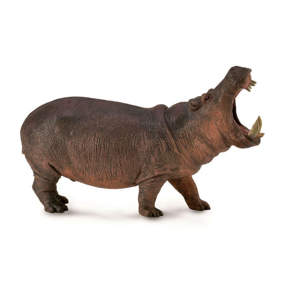 Hippopotamus Figurine CollectA XL