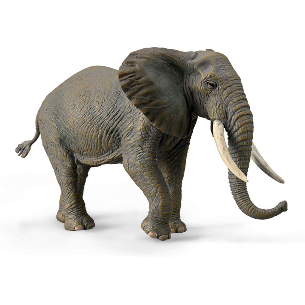 African Bush Elephant Figurine CollectA XL
