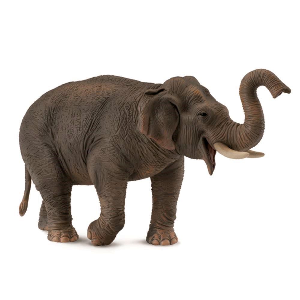 Asian Elephant Figurine CollectA XL